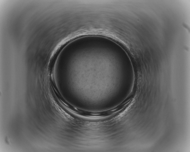 X0000098011506200803281301