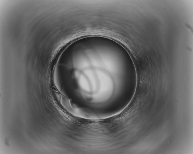 X0000098011507200803281301