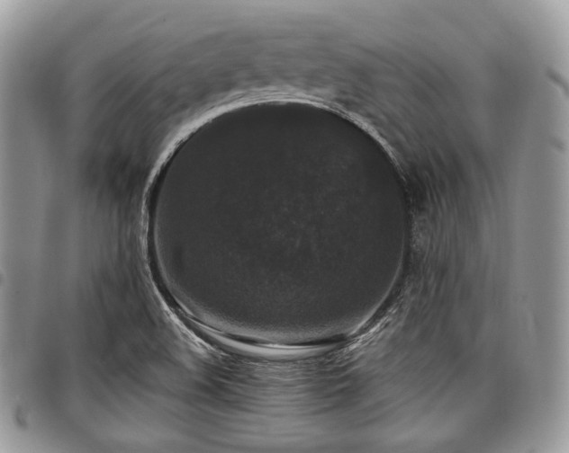 X0000098011508200803281301