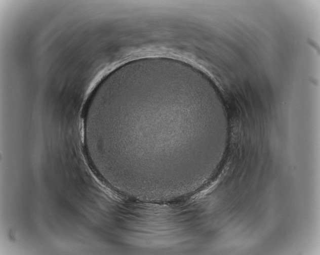 X0000098011509200803281301