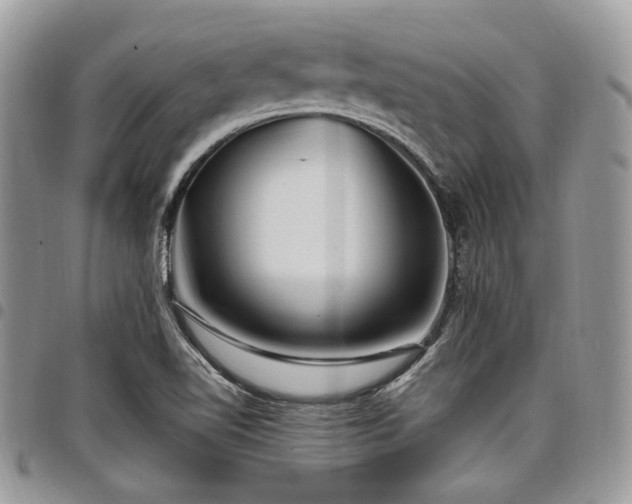 X0000098011510200803281301