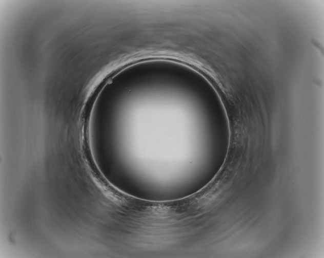 X0000098011511200803281301