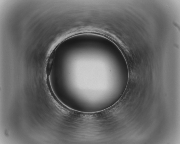 X0000098011512200803281301