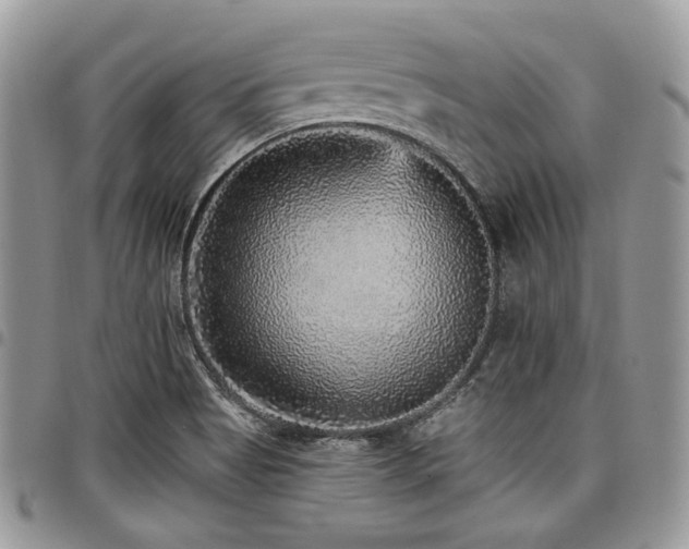 X0000098011513200803281301