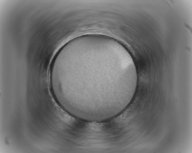 X0000098011514200803281301