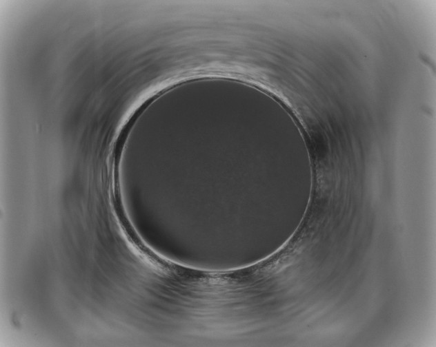 X0000098011515200803281301