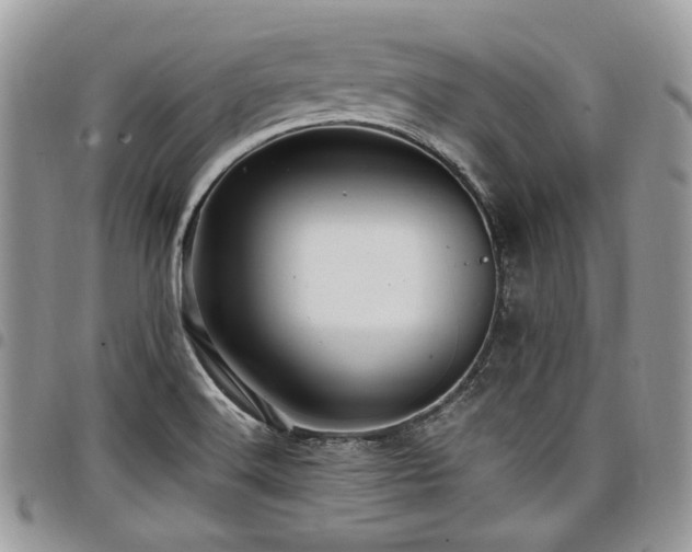 X0000098011516200803281301