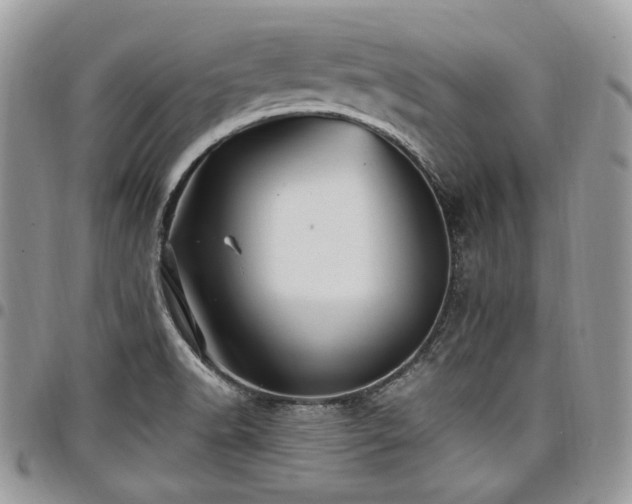 X0000098011518200803281301