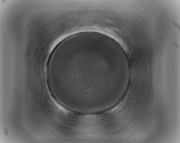 X0000098011519200803281301