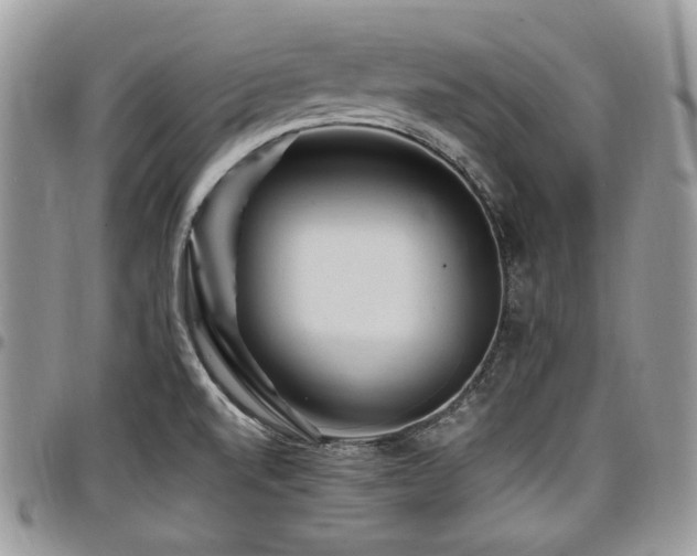 X0000098011520200803281301