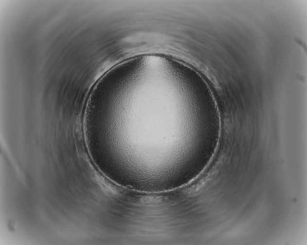 X0000098011521200803281301