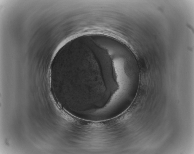 X0000098011522200803281301