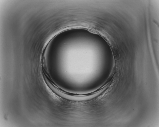 X0000098011524200803281301