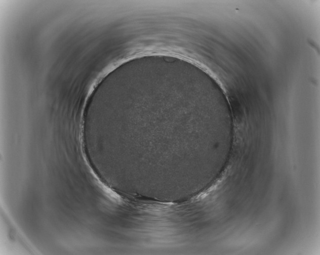 X0000098011525200803281301