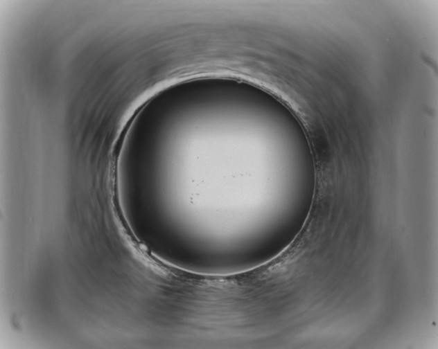 X0000098011526200803281301