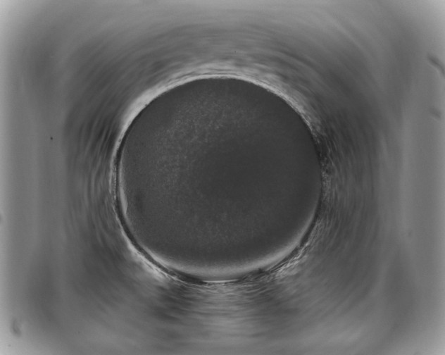 X0000098011527200803281301