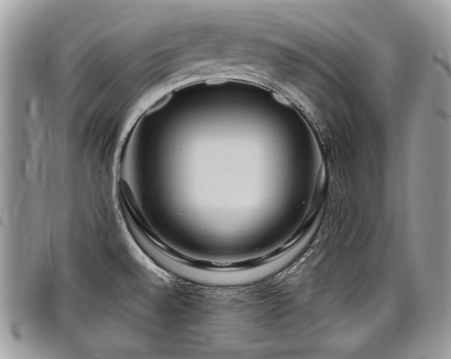 X0000098011528200803281301