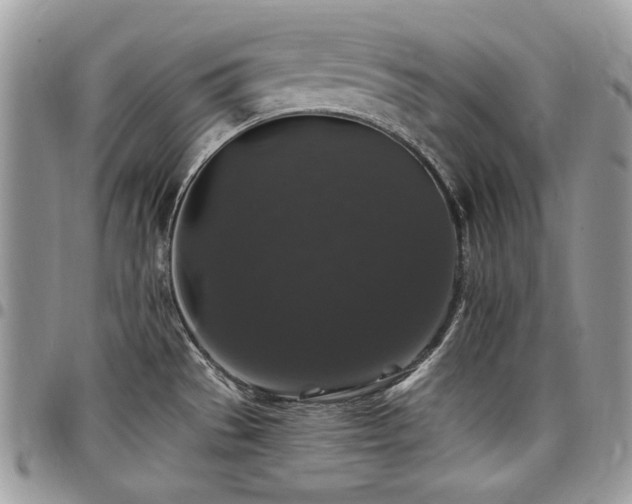 X0000098011529200803281301