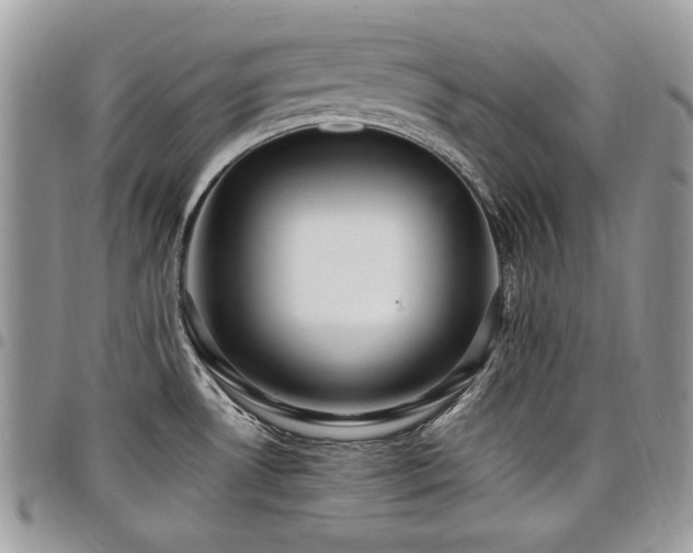 X0000098011530200803281301