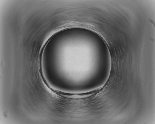 X0000098011531200803281301