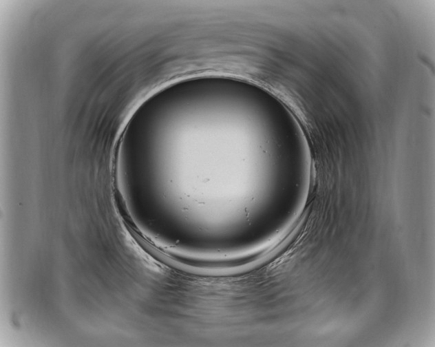 X0000098011532200803281301