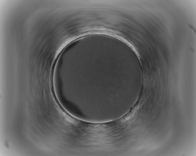 X0000098011533200803281301