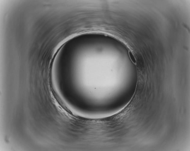 X0000098011534200803281301