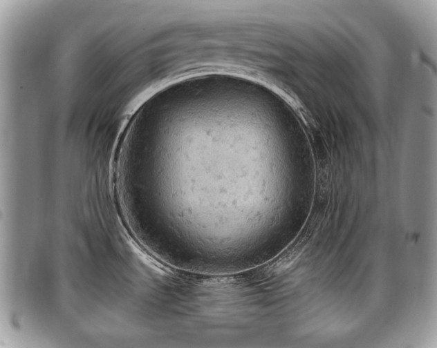 X0000098011535200803281301