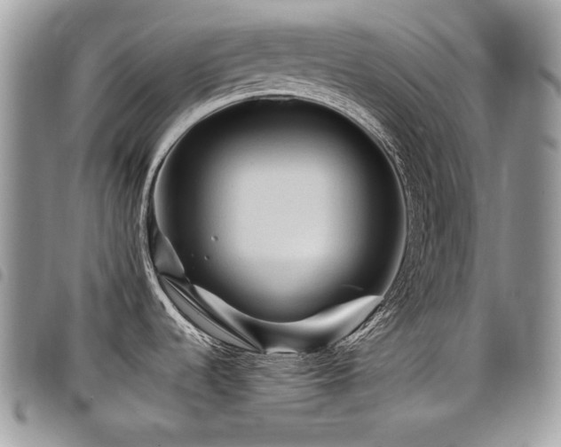 X0000098011536200803281301