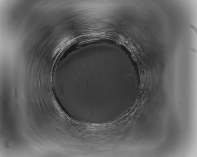 X0000098010002200804071340