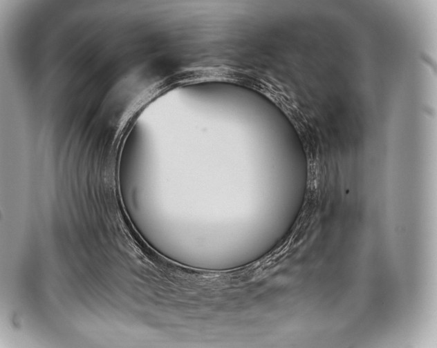 X0000098010004200804071340