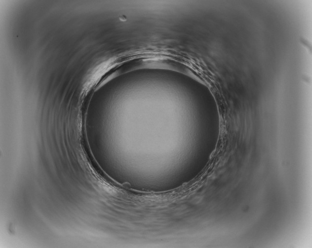 X0000098010005200804071340