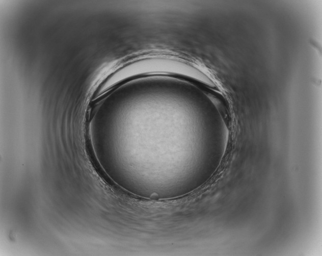 X0000098010007200804071340