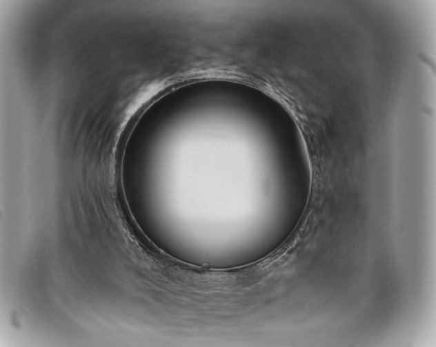 X0000098010008200804071340