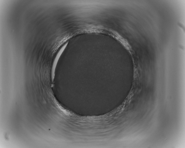 X0000098010009200804071340