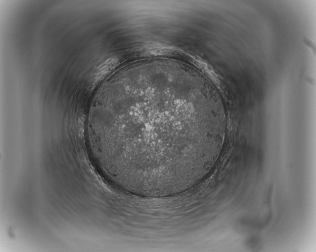 X0000098010010200804071340