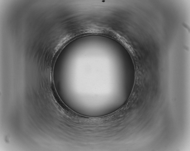 X0000098010011200804071340