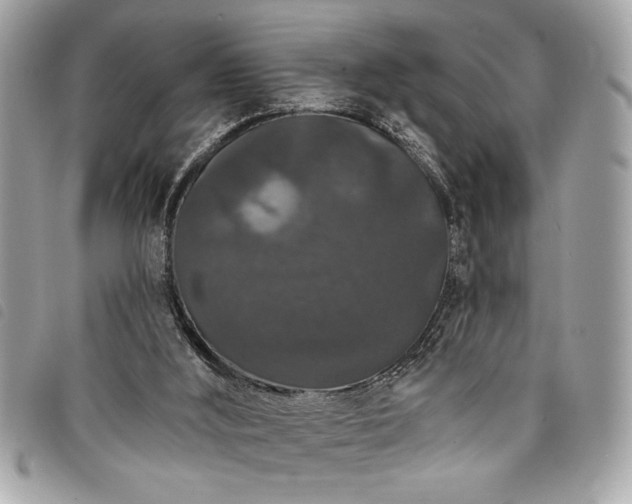 X0000098010012200804071340