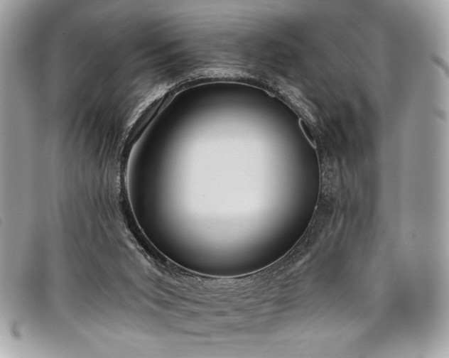 X0000098010015200804071340