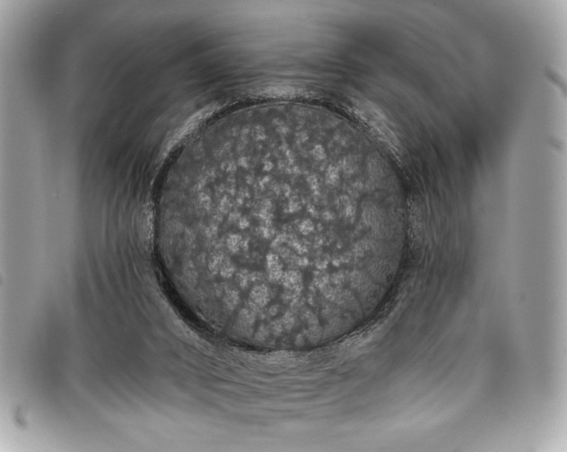 X0000098010016200804071340