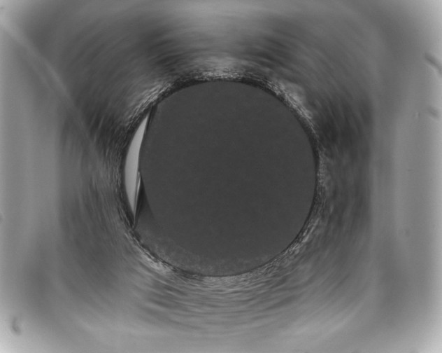 X0000098010017200804071340