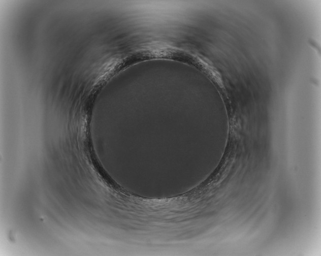 X0000098010018200804071339