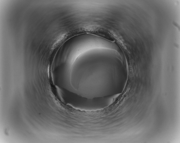 X0000098010019200804071339