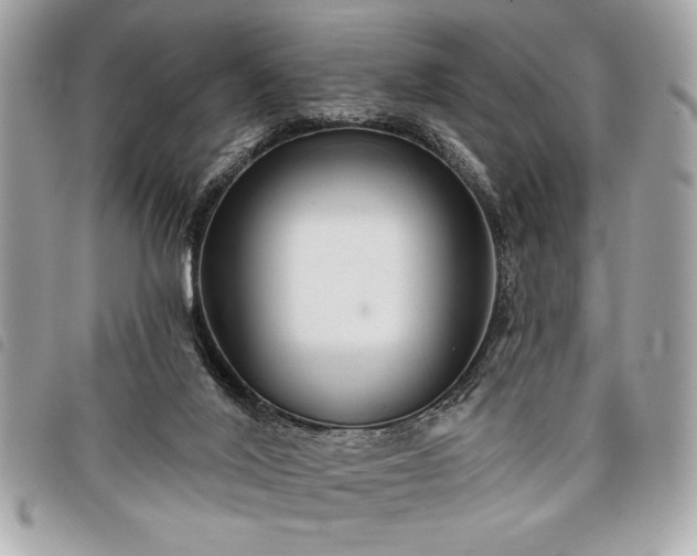 X0000098010020200804071339