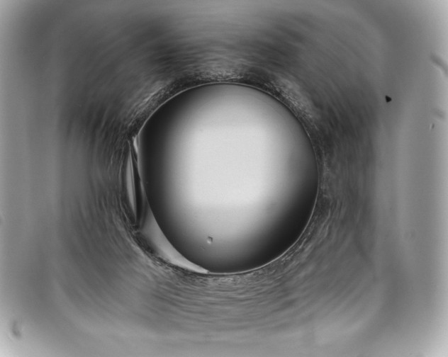 X0000098010021200804071339