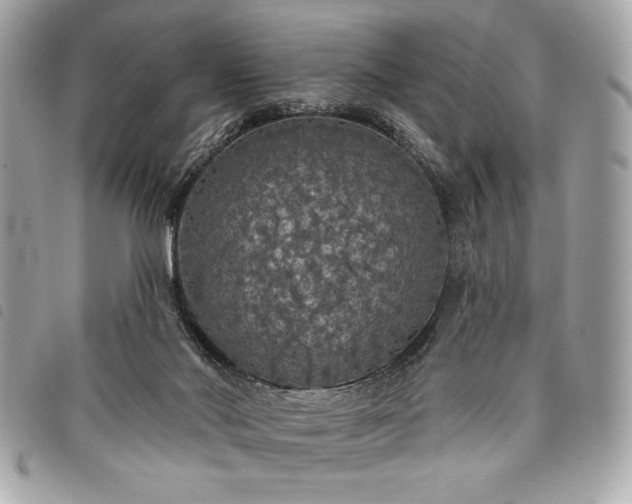 X0000098010022200804071339