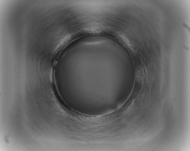 X0000098010023200804071339