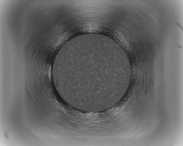 X0000098010024200804071339