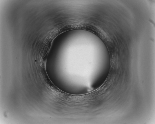 X0000098010025200804071339