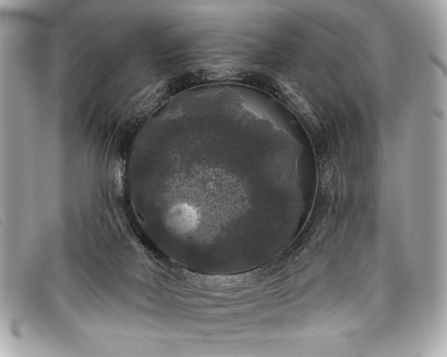 X0000098010026200804071339